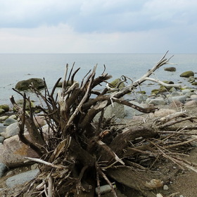 Photo Nature.  .