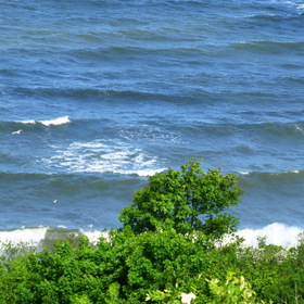 Photo Nature.  .