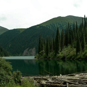 Photo Nature.   .
