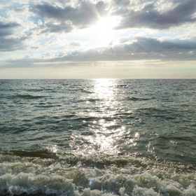 Nature Photo.  .