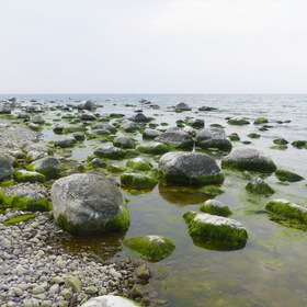 Photo Nature.  .