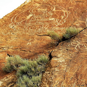 Photo Nature.    ( )