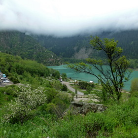 Nature Photo.    .