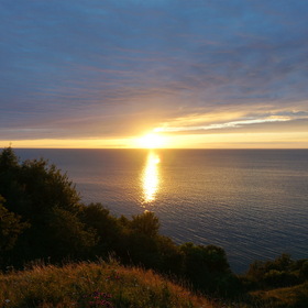 Nature Photo.  .