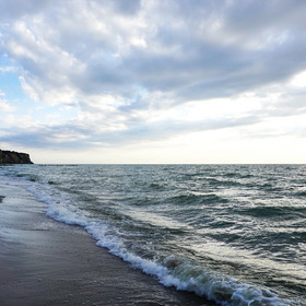 Nature Photo.  .