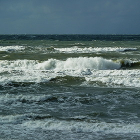 Nature Photo.  .