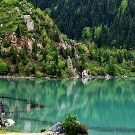 Nature.   .  .